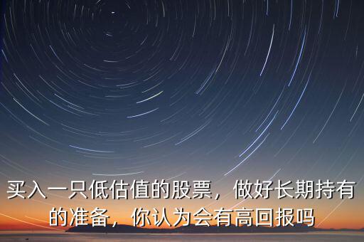 買入一只低估值的股票，做好長期持有的準(zhǔn)備，你認(rèn)為會有高回報嗎
