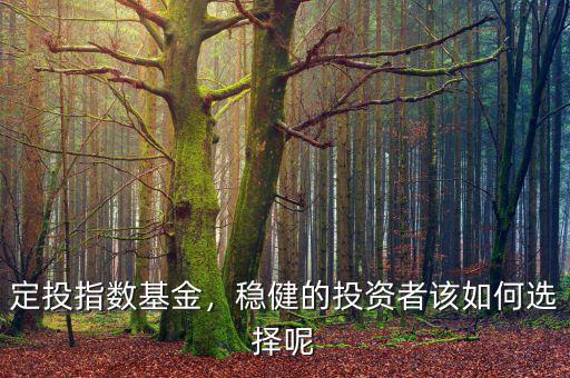 定投指數(shù)基金，穩(wěn)健的投資者該如何選擇呢