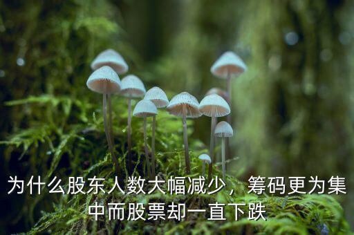 為什么股東人數大幅減少，籌碼更為集中而股票卻一直下跌