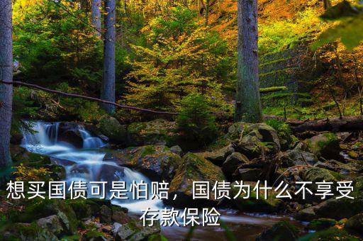 想買國債可是怕賠，國債為什么不享受存款保險(xiǎn)