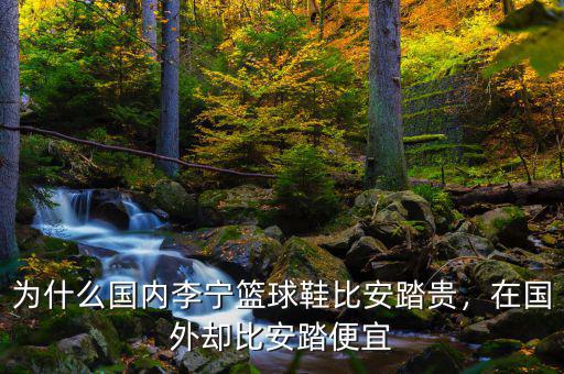 為什么國內(nèi)李寧籃球鞋比安踏貴，在國外卻比安踏便宜