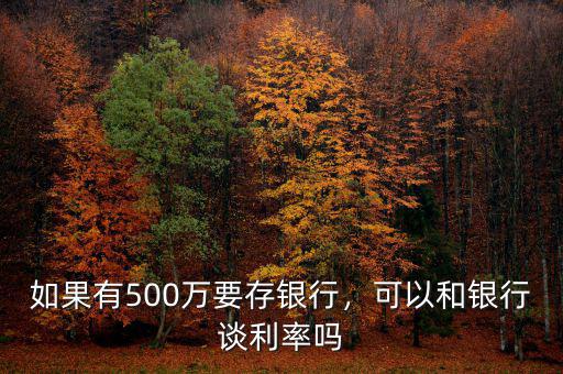 如果有500萬(wàn)要存銀行，可以和銀行談利率嗎