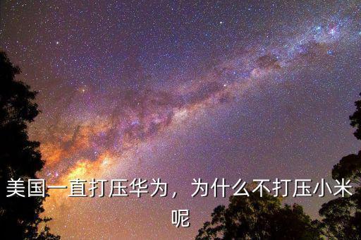 美國(guó)一直打壓華為，為什么不打壓小米呢