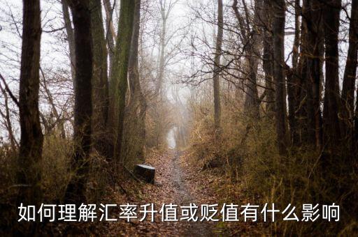 什么貶值會(huì)影響匯率,如何理解匯率