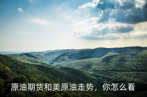 原油期貨和美原油走勢(shì)，你怎么看