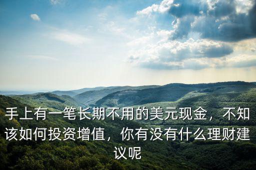 手上有一筆長期不用的美元現(xiàn)金，不知該如何投資增值，你有沒有什么理財(cái)建議呢