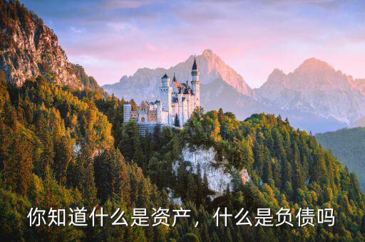 你知道什么是資產(chǎn)，什么是負(fù)債嗎