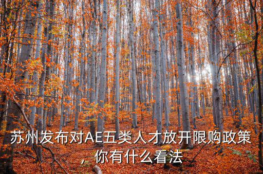 蘇州發(fā)布對(duì)AE五類人才放開限購政策，你有什么看法