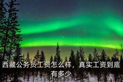 西藏公務(wù)員工資怎么樣，真實(shí)工資到底有多少