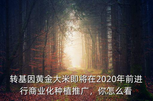 轉(zhuǎn)基因黃金大米即將在2020年前進(jìn)行商業(yè)化種植推廣，你怎么看