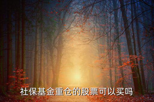 社保買了獐子島多少股票,社?；鹬貍}的股票可以買嗎