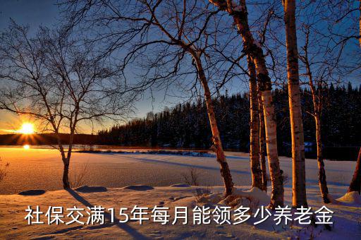 社保交滿15年每月能領多少養(yǎng)老金