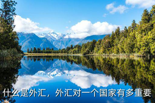 什么是外匯，外匯對一個國家有多重要