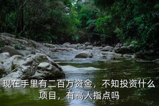 現(xiàn)在手里有二百萬(wàn)資金，不知投資什么項(xiàng)目，有高人指點(diǎn)嗎