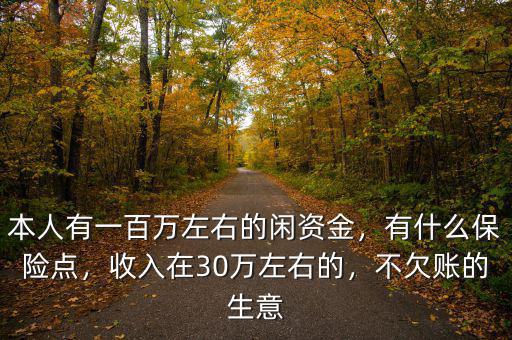 本人有一百萬左右的閑資金，有什么保險點，收入在30萬左右的，不欠賬的生意