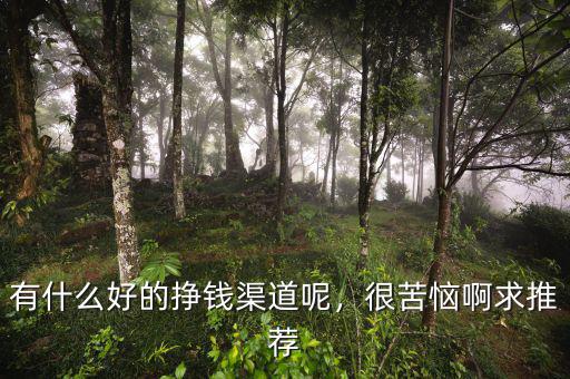 有什么好的掙錢渠道呢，很苦惱啊求推薦