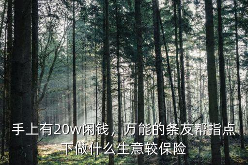 手上有20w閑錢(qián)，萬(wàn)能的條友幫指點(diǎn)下做什么生意較保險(xiǎn)