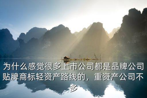 為什么感覺(jué)很多上市公司都是品牌公司貼牌商標(biāo)輕資產(chǎn)路線(xiàn)的，重資產(chǎn)公司不多