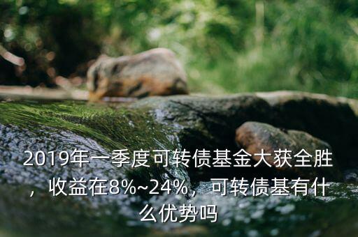2019年一季度可轉債基金大獲全勝，收益在8%~24%，可轉債基有什么優(yōu)勢嗎