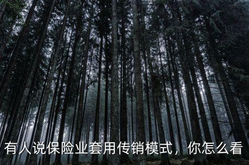 有人說保險(xiǎn)業(yè)套用傳銷模式，你怎么看