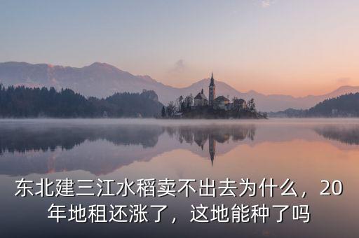 東北建三江水稻賣不出去為什么，20年地租還漲了，這地能種了嗎