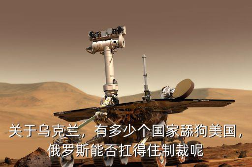 關(guān)于烏克蘭，有多少個(gè)國家舔狗美國，俄羅斯能否扛得住制裁呢
