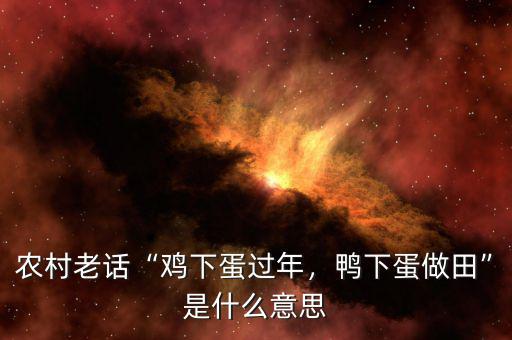 農(nóng)村老話“雞下蛋過(guò)年，鴨下蛋做田”是什么意思