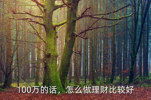 100萬的話，怎么做理財比較好