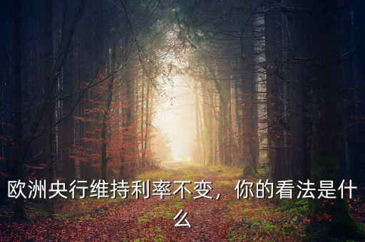 歐洲央行維持利率不變，你的看法是什么