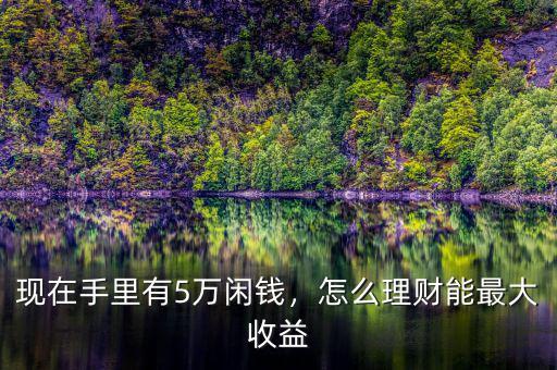 現(xiàn)在手里有5萬(wàn)閑錢，怎么理財(cái)能最大收益