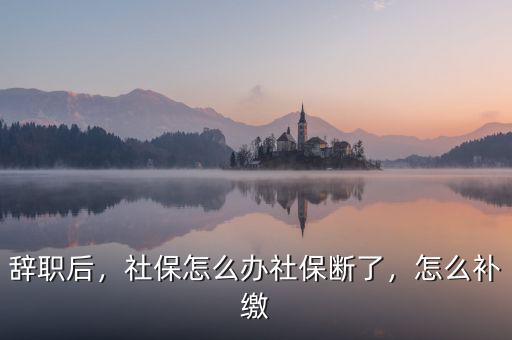 辭職后，社保怎么辦社保斷了，怎么補(bǔ)繳
