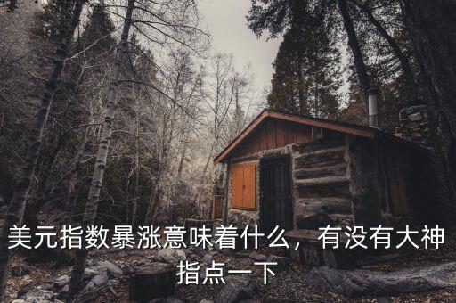 美元指數(shù)暴漲意味著什么，有沒有大神指點(diǎn)一下