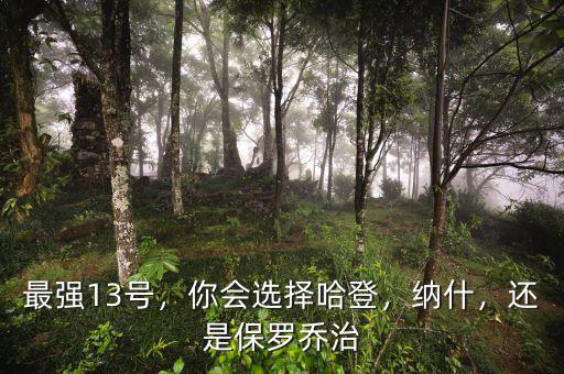 最強13號，你會選擇哈登，納什，還是保羅喬治