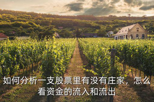 如何分析一支股票里有沒有莊家，怎么看資金的流入和流出