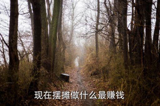 現(xiàn)在擺攤做什么最賺錢(qián)