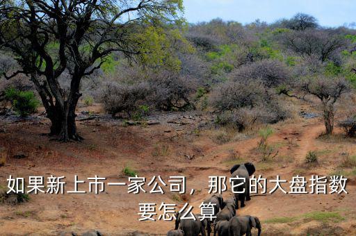 如果新上市一家公司，那它的大盤指數(shù)要怎么算