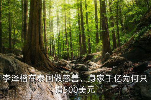 李澤楷在泰國做慈善，身家千億為何只捐500美元
