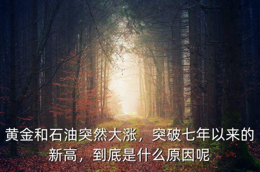 黃金和石油突然大漲，突破七年以來的新高，到底是什么原因呢
