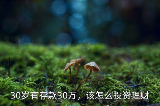30歲有存款30萬，該怎么投資理財