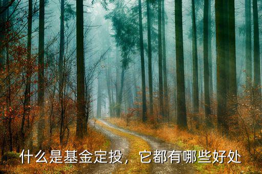 什么是基金定投，它都有哪些好處