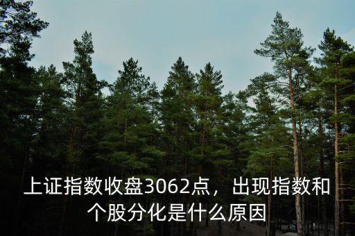 上證指數(shù)收盤(pán)3062點(diǎn)，出現(xiàn)指數(shù)和個(gè)股分化是什么原因