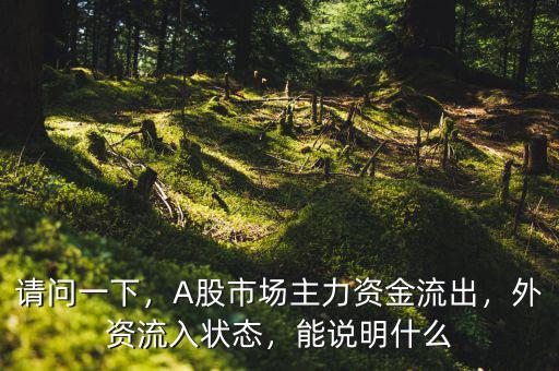 請問一下，A股市場主力資金流出，外資流入狀態(tài)，能說明什么