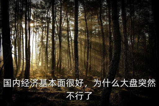 國(guó)內(nèi)經(jīng)濟(jì)基本面很好，為什么大盤突然不行了