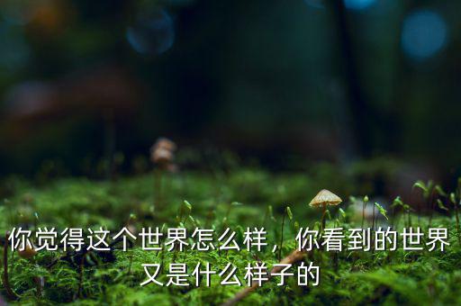 你覺(jué)得這個(gè)世界怎么樣，你看到的世界又是什么樣子的