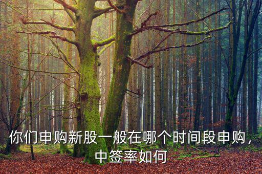你們申購新股一般在哪個時間段申購，中簽率如何