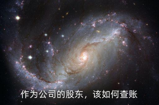 作為公司的股東，該如何查賬