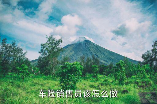 車險(xiǎn)怎么營銷,車險(xiǎn)銷售員該怎么做