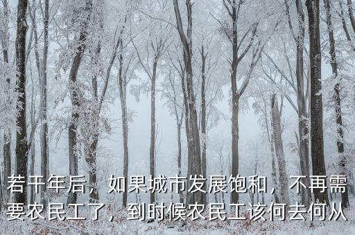 若干年后，如果城市發(fā)展飽和，不再需要農民工了，到時候農民工該何去何從