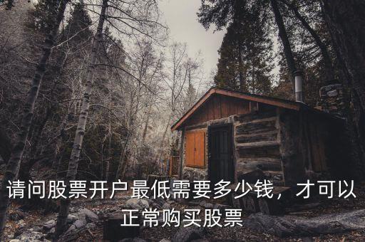 請問股票開戶最低需要多少錢，才可以正常購買股票