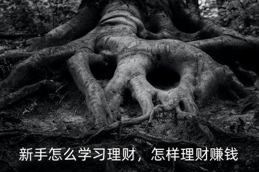 新手怎么學(xué)習(xí)理財(cái)，怎樣理財(cái)賺錢